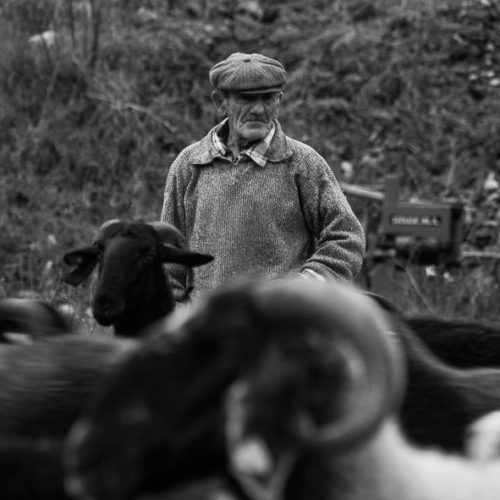 Tonino Comuniello